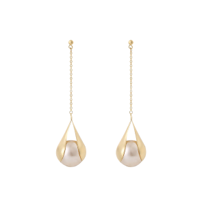 earrings win