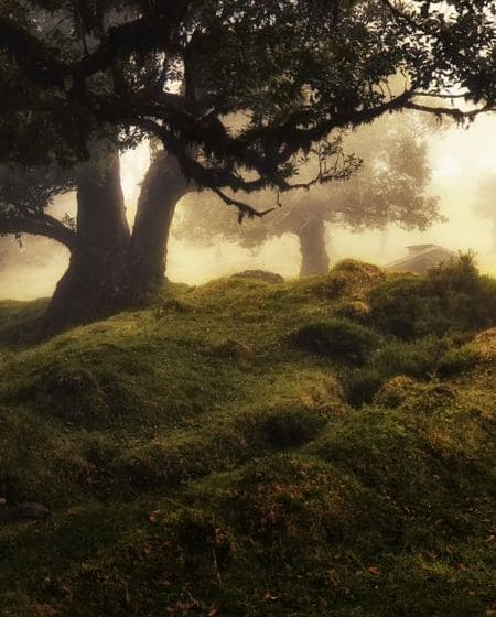 portfolio_img